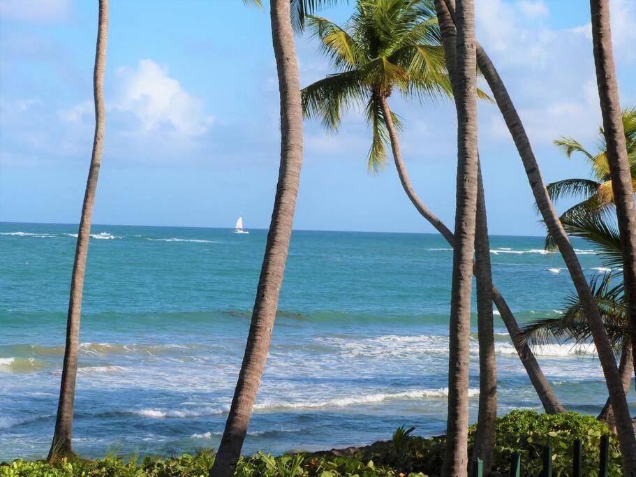 Beachfront Getaway For Two! อูมาเกา ภายนอก รูปภาพ
